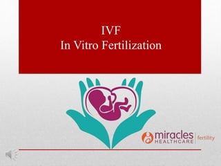 IVF
In Vitro Fertilization
 