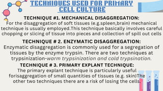 Trypsination An Elaborative Study about In Vitro Mammalian Cell Culture.pdf