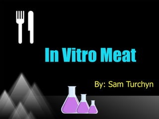 In Vitro Meat
       By: Sam Turchyn
 