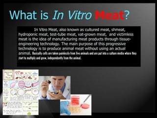 What is In Vitro Meat?
                 In Vitro Meat, also known as cultured meat, shmeat,
 hydroponic meat, test-tube meat, vat-grown meat, and victimless
 meat is the idea of manufacturing meat products through tissue-
 engineering technology. The main purpose of this progressive
 technology is to produce animal meat without using an actual
 animal. Basically cells are taken painlessly from live animals and are put into a culture media where they
 start to multiply and grow, independently from the animal.
 