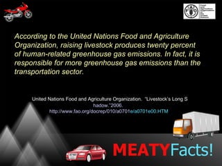 According to the United Nations Food and Agriculture
Organization, raising livestock produces twenty percent
of human-related greenhouse gas emissions. In fact, it is
responsible for more greenhouse gas emissions than the
transportation sector.


     United Nations Food and Agriculture Organization. “Livestock’s Long S
                                 hadow.”2006.
             http://www.fao.org/docrep/010/a0701e/a0701e00.HTM




                                        MEATYFacts!
 