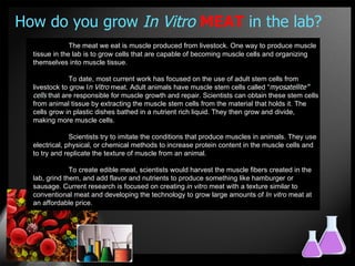 How do you grow In Vitro MEAT in the lab?
               The meat we eat is muscle produced from livestock. One way to produce muscle
  tissue in the lab is to grow cells that are capable of becoming muscle cells and organizing
  themselves into muscle tissue.

               To date, most current work has focused on the use of adult stem cells from
  livestock to grow In Vitro meat. Adult animals have muscle stem cells called “myosatellite”
  cells that are responsible for muscle growth and repair. Scientists can obtain these stem cells
  from animal tissue by extracting the muscle stem cells from the material that holds it. The
  cells grow in plastic dishes bathed in a nutrient rich liquid. They then grow and divide,
  making more muscle cells.

               Scientists try to imitate the conditions that produce muscles in animals. They use
  electrical, physical, or chemical methods to increase protein content in the muscle cells and
  to try and replicate the texture of muscle from an animal.

               To create edible meat, scientists would harvest the muscle fibers created in the
  lab, grind them, and add flavor and nutrients to produce something like hamburger or
  sausage. Current research is focused on creating in vitro meat with a texture similar to
  conventional meat and developing the technology to grow large amounts of In vitro meat at
  an affordable price.
 