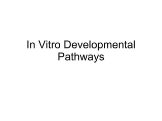 In Vitro Developmental Pathways 