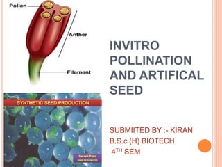 INVITRO
POLLINATION
AND ARTIFICAL
SEED
SUBMIITED BY :- KIRAN
B.S.c (H) BIOTECH
4TH SEM
 