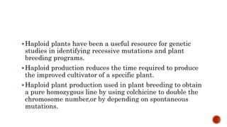 invitro production of haploids.pptx