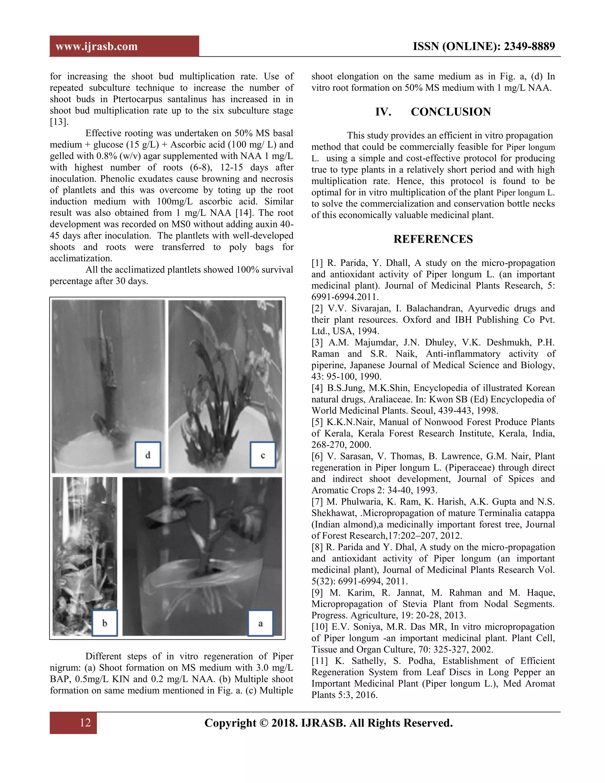 In Vitro Shoot Regeneration and Rooting of Piper Longum L.: A valuable ...