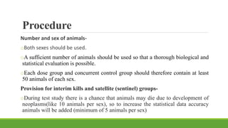 Procedure
Number and sex of animals-
oBoth sexes should be used.
oA sufficient number of animals should be used so that a thorough biological and
statistical evaluation is possible.
oEach dose group and concurrent control group should therefore contain at least
50 animals of each sex.
Provision for interim kills and satellite (sentinel) groups-
oDuring test study there is a chance that animals may die due to development of
neoplasms(like 10 animals per sex), so to increase the statistical data accuracy
animals will be added (minimum of 5 animals per sex)
 