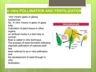 Invivo fertilization | PPTX