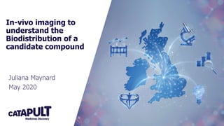 In-vivo imaging to
understand the
Biodistribution of a
candidate compound
Juliana Maynard
May 2020
 