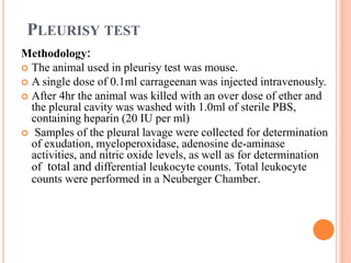 PLEURISY TEST 
Methodology: 
 The animal used in pleurisy test was mouse. 
 A single dose of 0.1ml carrageenan was injected intravenously. 
 After 4hr the animal was killed with an over dose of ether and 
the pleural cavity was washed with 1.0ml of sterile PBS, 
containing heparin (20 IU per ml) 
 Samples of the pleural lavage were collected for determination 
of exudation, myeloperoxidase, adenosine de-aminase 
activities, and nitric oxide levels, as well as for determination 
of total and differential leukocyte counts. Total leukocyte 
counts were performed in a Neuberger Chamber. 
 