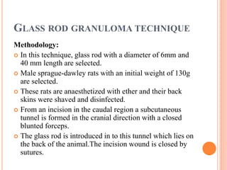 GLASS ROD GRANULOMA TECHNIQUE 
Methodology: 
 In this technique, glass rod with a diameter of 6mm and 
40 mm length are selected. 
 Male sprague-dawley rats with an initial weight of 130g 
are selected. 
 These rats are anaesthetized with ether and their back 
skins were shaved and disinfected. 
 From an incision in the caudal region a subcutaneous 
tunnel is formed in the cranial direction with a closed 
blunted forceps. 
 The glass rod is introduced in to this tunnel which lies on 
the back of the animal.The incision wound is closed by 
sutures. 
 