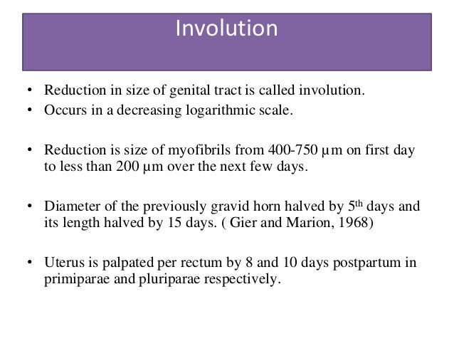Uterine Involution in cattle