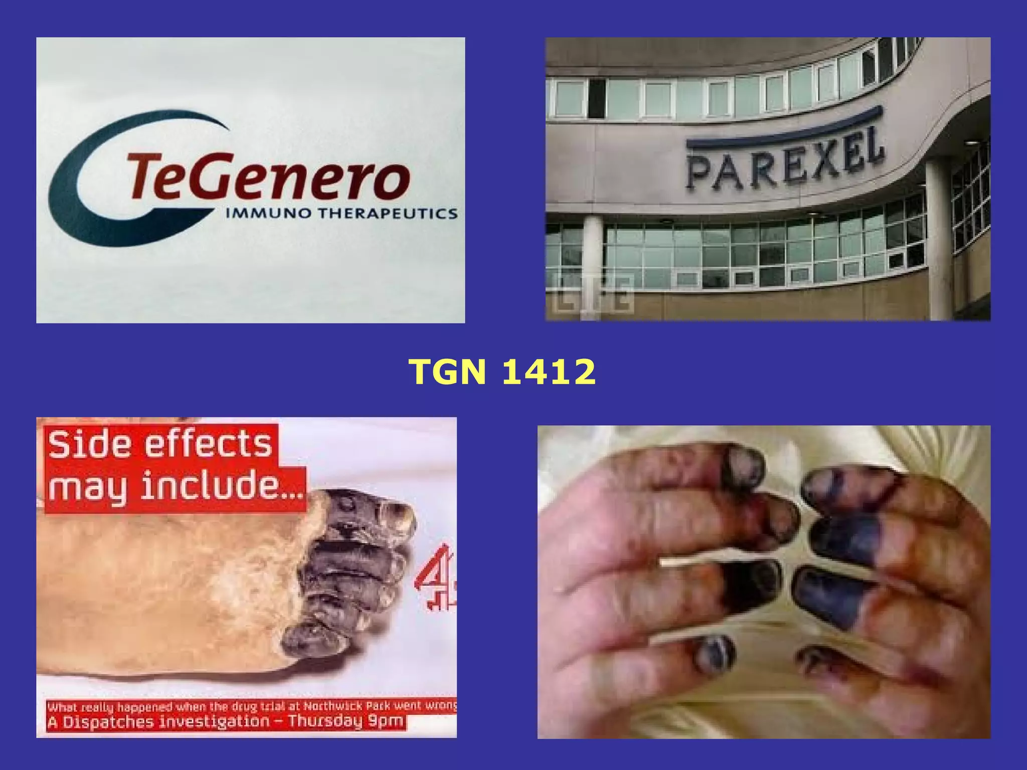TGN1412
      TGN 1412
 