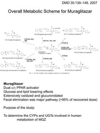 DMD 35:139–149, 2007

  Overall Metabolic Scheme for Muraglitazar




Muraglitazar
Dual / PPAR activator
Glucose and lipid lowering effects
Extensively oxidized and glucuronidated
Fecal elimination was major pathway (>95% of recovered dose)

Purpose of the study:

To determine the CYPs and UGTs involved in human
        metabolism of MGZ
 