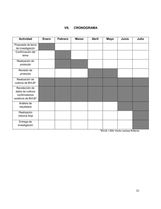 21
VII. CRONOGRAMA
Actividad Enero Febrero Marzo Abril Mayo Junio Julio
Propuesta de tema
de investigación
Confirmación del
tema
Realización de
protocolo
Revisión de
protocolo
Realización de
cultivos de BVLB*
Recolección de
datos de cultivos
confirmatorios
positivos de BVLB*
Análisis de
resultados
Realización
Informe final
Entrega de
investigación
*BVLB = Bilis Verde Lactosa Brillante
 