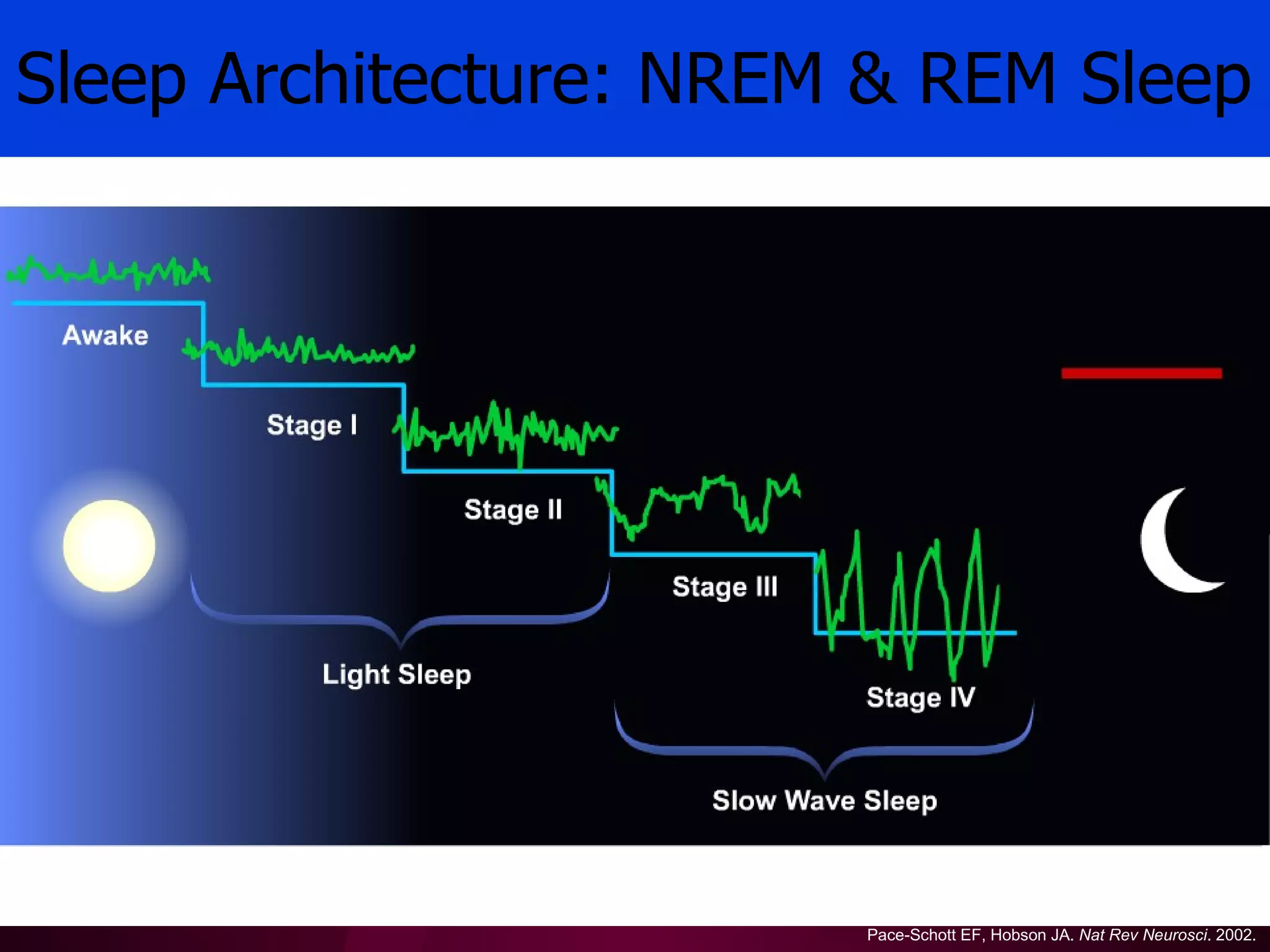 Sleep Architecture: NREM & REM Sleep




                        Pace-Schott EF, Hobson JA. Nat Rev Neurosci. 2002.
 