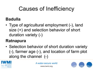 Technical Efficiency of Paddy Cultivation in Anicut Schemes in the Walawe Basin