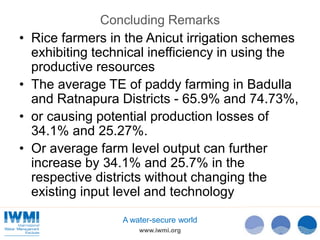 Technical Efficiency of Paddy Cultivation in Anicut Schemes in the Walawe Basin