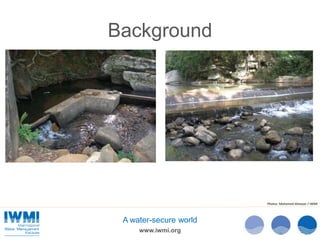 Technical Efficiency of Paddy Cultivation in Anicut Schemes in the Walawe Basin