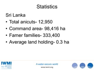 Technical Efficiency of Paddy Cultivation in Anicut Schemes in the Walawe Basin