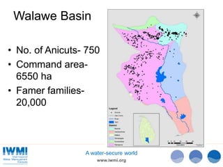 Technical Efficiency of Paddy Cultivation in Anicut Schemes in the Walawe Basin