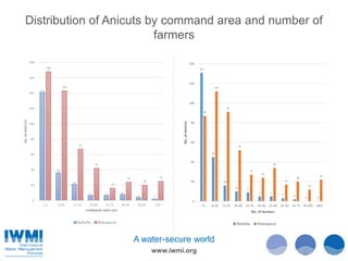 Technical Efficiency of Paddy Cultivation in Anicut Schemes in the Walawe Basin