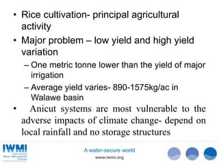 Technical Efficiency of Paddy Cultivation in Anicut Schemes in the Walawe Basin