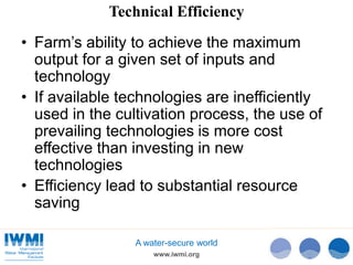 Technical Efficiency of Paddy Cultivation in Anicut Schemes in the Walawe Basin