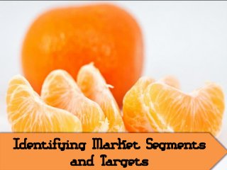 Identifying Market Segments
and Targets
 