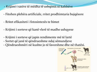 - Krijimi i sasive të mëdha të ushqimit të kafshëve 
- Fitohen plehëra artificiale, rritet prodhimtaria bujqësore 
- Rritet efikasiteti i fotosintezës te bimet 
- Krijimi i sorteve që kanë vlerë të madhe ushqyese 
- Krijimi i sorteve që japin rendimente më të lartë 
- Sortet që janë të qëndrueshme ndaj sëmundjeve 
- Qëndrueshmëri në kushte jo të favorshme dhe në thatësi. 
 