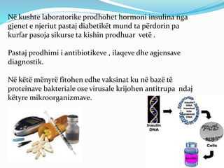 Në kushte laboratorike prodhohet hormoni insulina nga 
gjenet e njeriut pastaj diabetikët mund ta përdorin pa 
kurfar pasoja sikurse ta kishin prodhuar vetë . 
Pastaj prodhimi i antibiotikeve , ilaqeve dhe agjensave 
diagnostik. 
Në këtë mënyrë fitohen edhe vaksinat ku në bazë të 
proteinave bakteriale ose virusale krijohen antitrupa ndaj 
këtyre mikroorganizmave. 
 