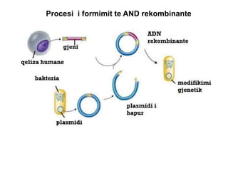 Procesi i formimit te AND rekombinante
 