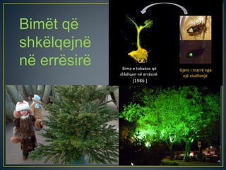 Bimët që
shkëlqejnë
në errësirë
 