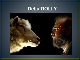 Delja DOLLY
 