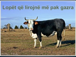 Inxhinieringu gjenetik  