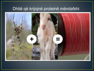 Dhitë që krijojnë proteinë mëndafshi
 