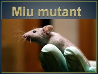 Inxhinieringu gjenetik  