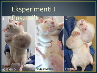 Eksperimenti I
Pusztai’t
 