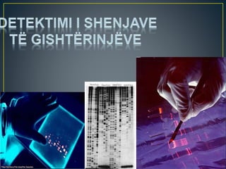 Inxhinieringu gjenetik  