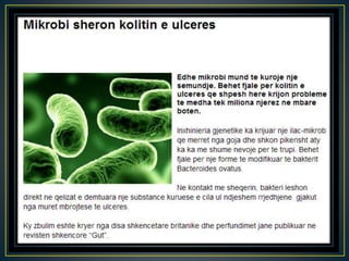 Inxhinieringu gjenetik  