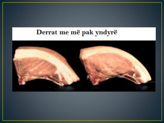 Inxhinieringu gjenetik  