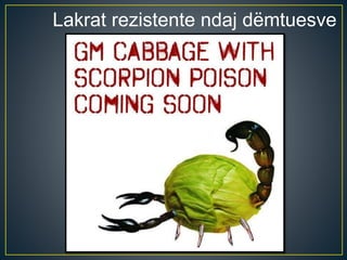 Lakrat rezistente ndaj ëٳܱ
 