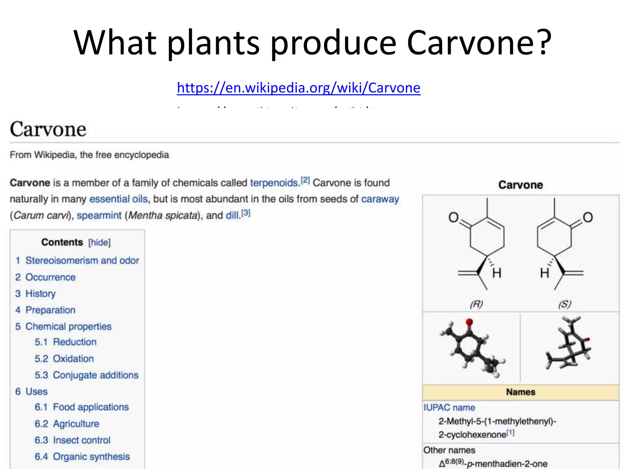 What plants produce Carvone?
https://en.wikipedia.org/wiki/Carvone
https://en.wikipedia.org/wiki/Carvone
 