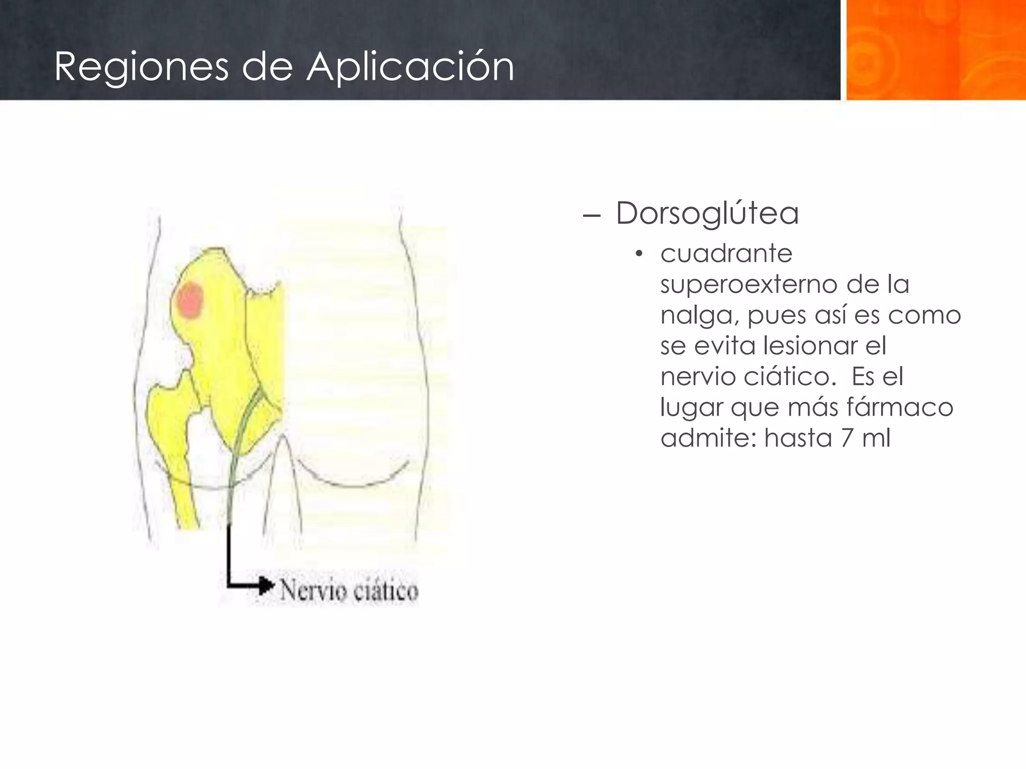 Regiones de Aplicación


                         – Dorsoglútea
                            • cuadrante
                              superoexterno de la
                              nalga, pues así es como
                              se evita lesionar el
                              nervio ciático. Es el
                              lugar que más fármaco
                              admite: hasta 7 ml
 