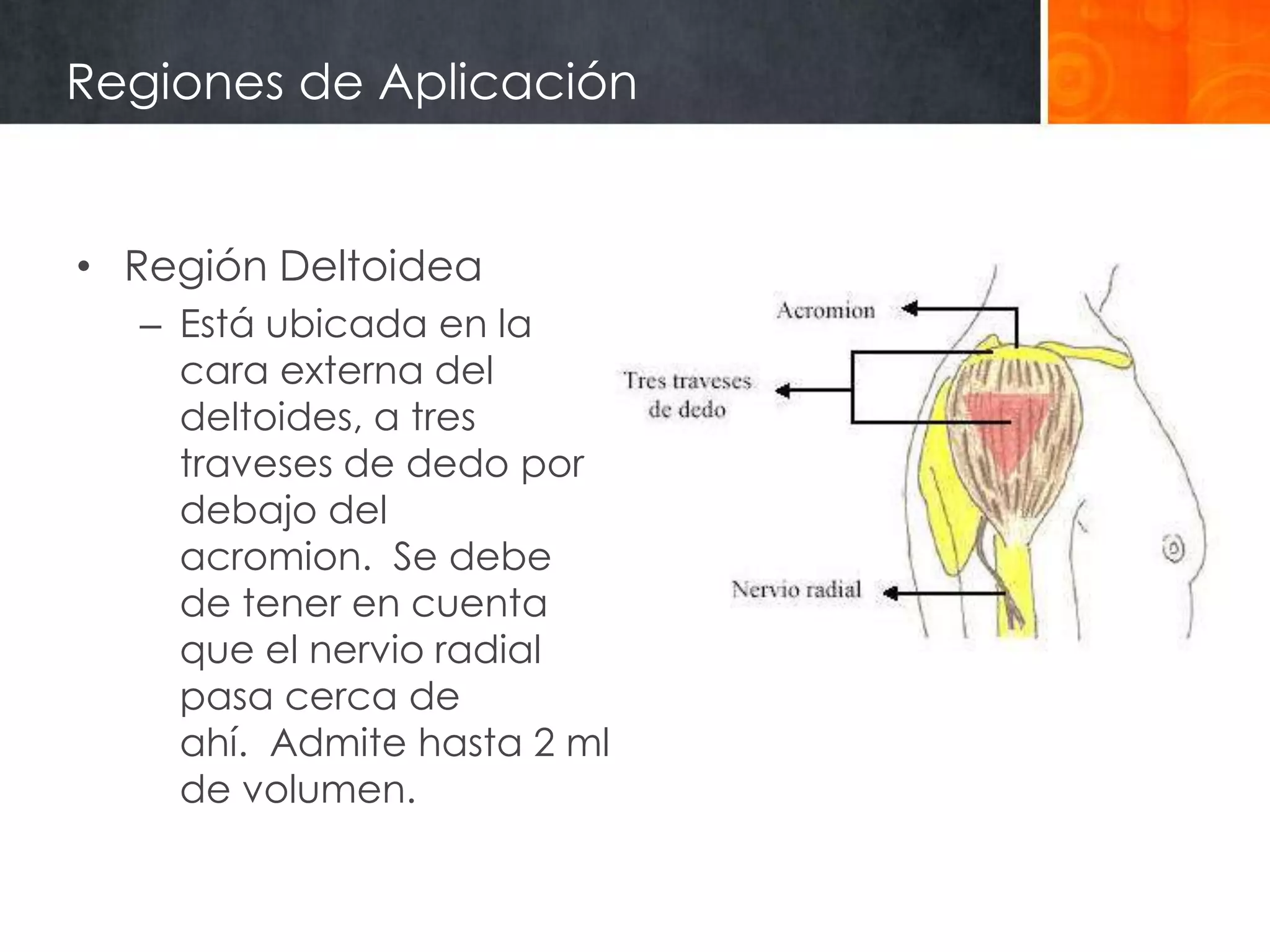 Regiones de Aplicación


• Región Deltoidea
  – Está ubicada en la
    cara externa del
    deltoides, a tres
    traveses de dedo por
    debajo del
    acromion. Se debe
    de tener en cuenta
    que el nervio radial
    pasa cerca de
    ahí. Admite hasta 2 ml
    de volumen.
 