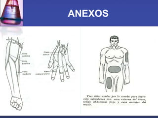 ANEXOS

 