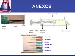 ANEXOS

 