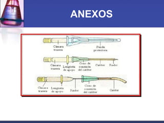 ANEXOS

 