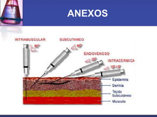 ANEXOS

 