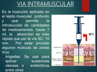 Es la inyección aplicada en
el tejido muscular profundo
y que permite la
introducción de cantidades
de medicamentos. hasta 7
ml, la absorción es más
rápida que por la vía SC. 15
min. Por estar provisto
algunos músculo de zonas
muy
irrigadas. Se usa para
aplicar sustancias
oleosas o antibióticos
entre otras
VIA INTRAMUSCULAR
 